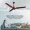 Rico Oric 1200mm 48"BEE 3 Star Rating Ceiling Fan CF807 (Brown)