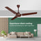 Rico Oric 1400mm 56'' BEE 3 Star Rating Ceiling Fan CF809 (Brown)