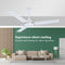 Rico Oric 1400mm 56'' BEE 3 Star Rating Ceiling Fan CF809 (White)