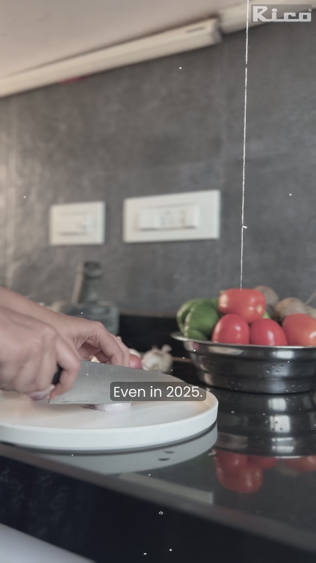 Rico 3 Litre Steel Bowl Chopper with Garlic Peeler & Whipper – 3 Speed ...